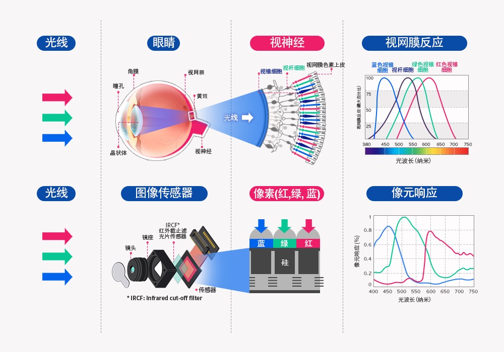 自动驾驶摄像头，它如何称王？